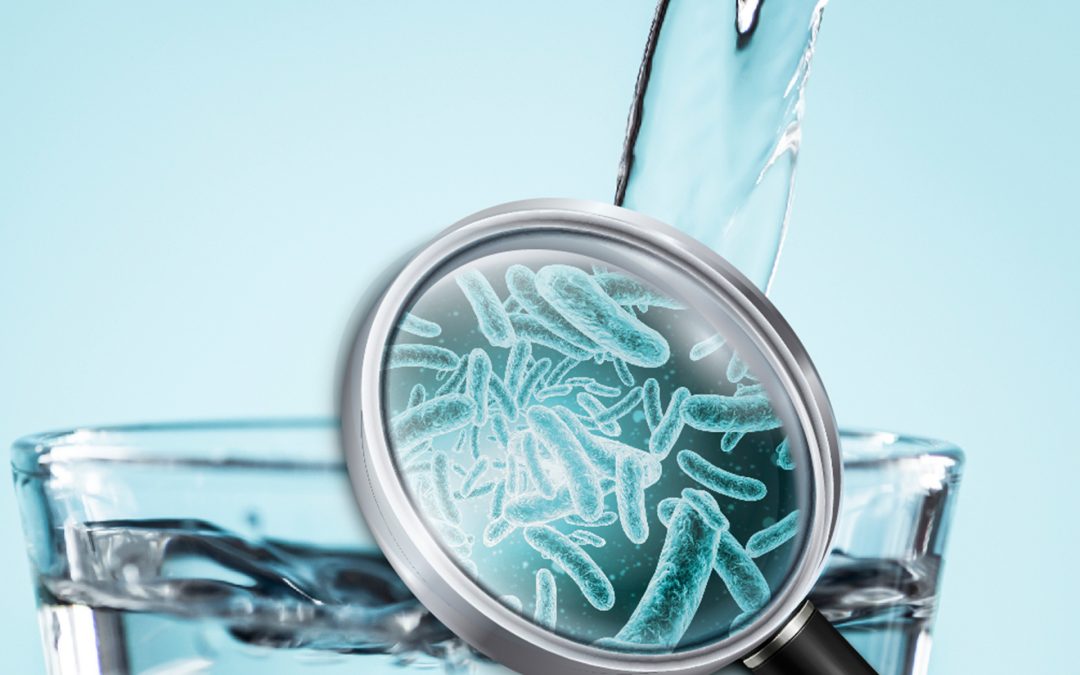 Bacterias coliformes en el agua potable