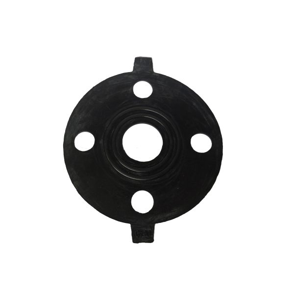 Empaquetadura Flange